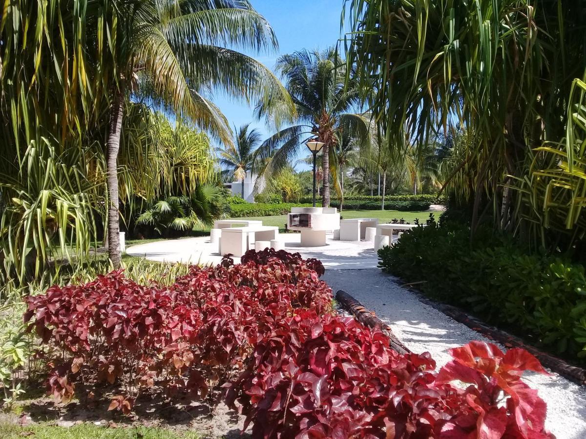 Appartement Swim The Caribbean & Work With A View